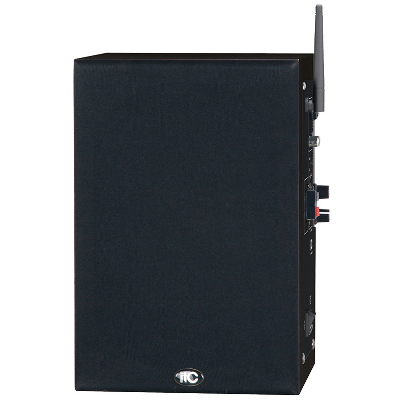 T-250BM Active Speaker