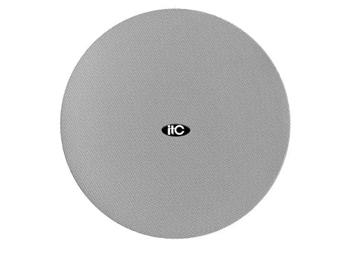 TS-206M Ceiling Speaker