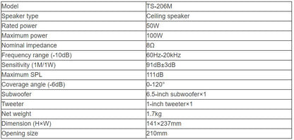 TS-206M Ceiling Speaker