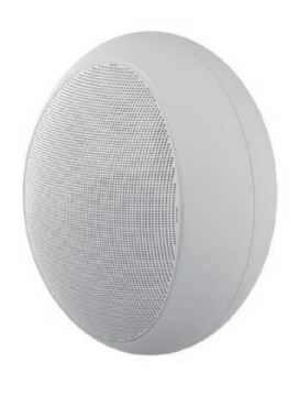 TS-605T Conference Room Wall-mounted Speaker