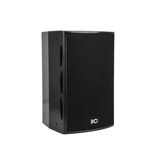 TS-710H Professional Speaker